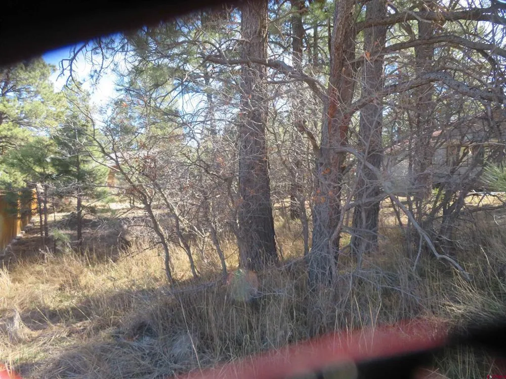 30 Knollwood Court Pagosa Springs, CO 81147