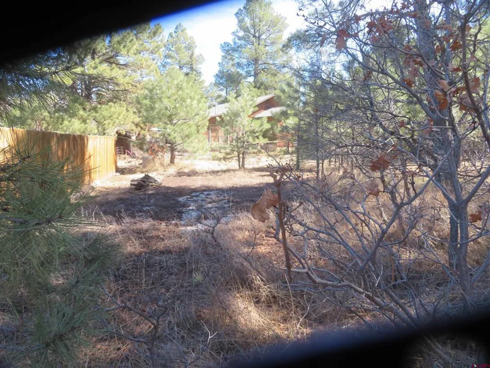 30 Knollwood Court Pagosa Springs, CO 81147