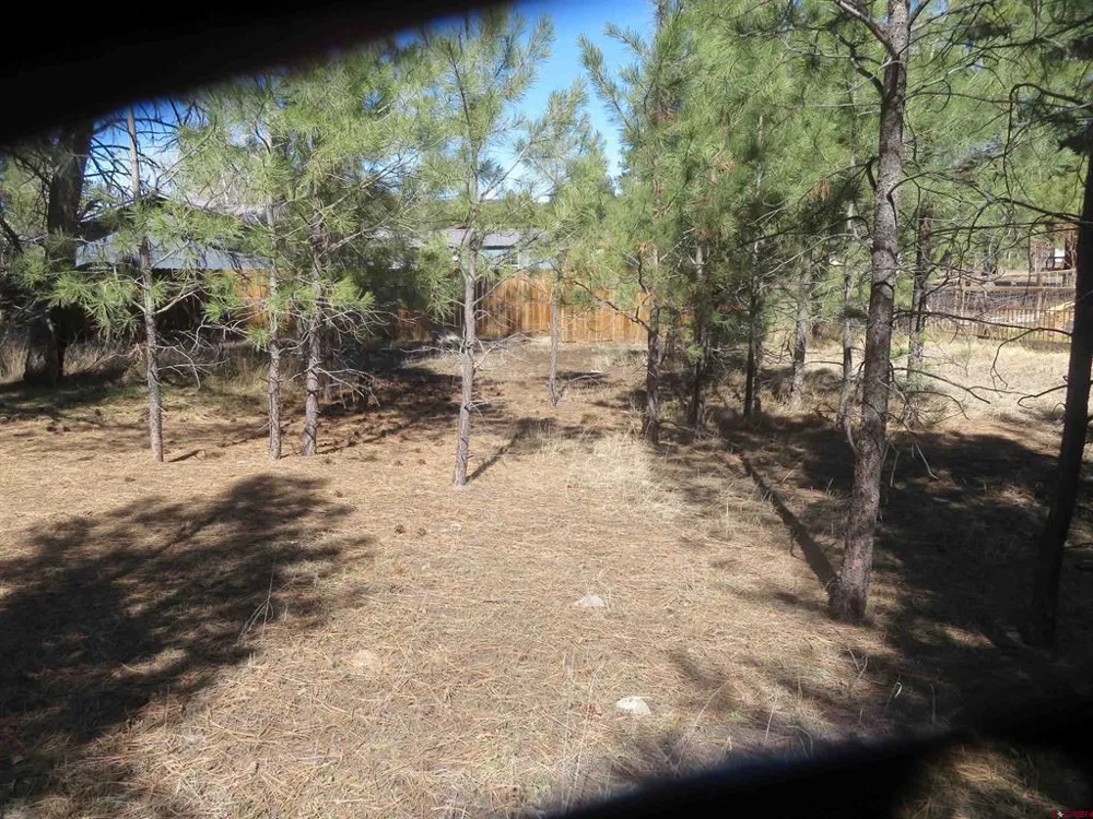 30 Knollwood Court Pagosa Springs, CO 81147