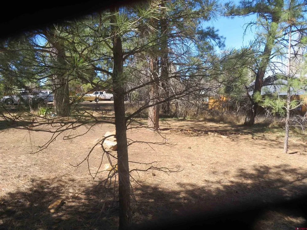 30 Knollwood Court Pagosa Springs, CO 81147
