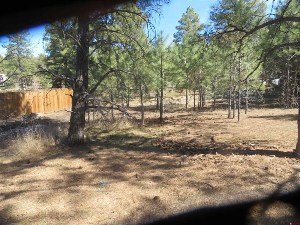 30 Knollwood Court Pagosa Springs, CO 81147