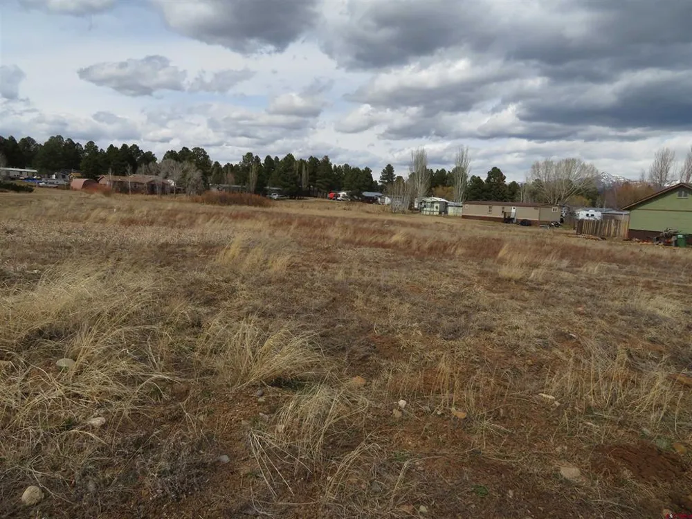 105 Settler Drive Pagosa Springs, CO 81147
