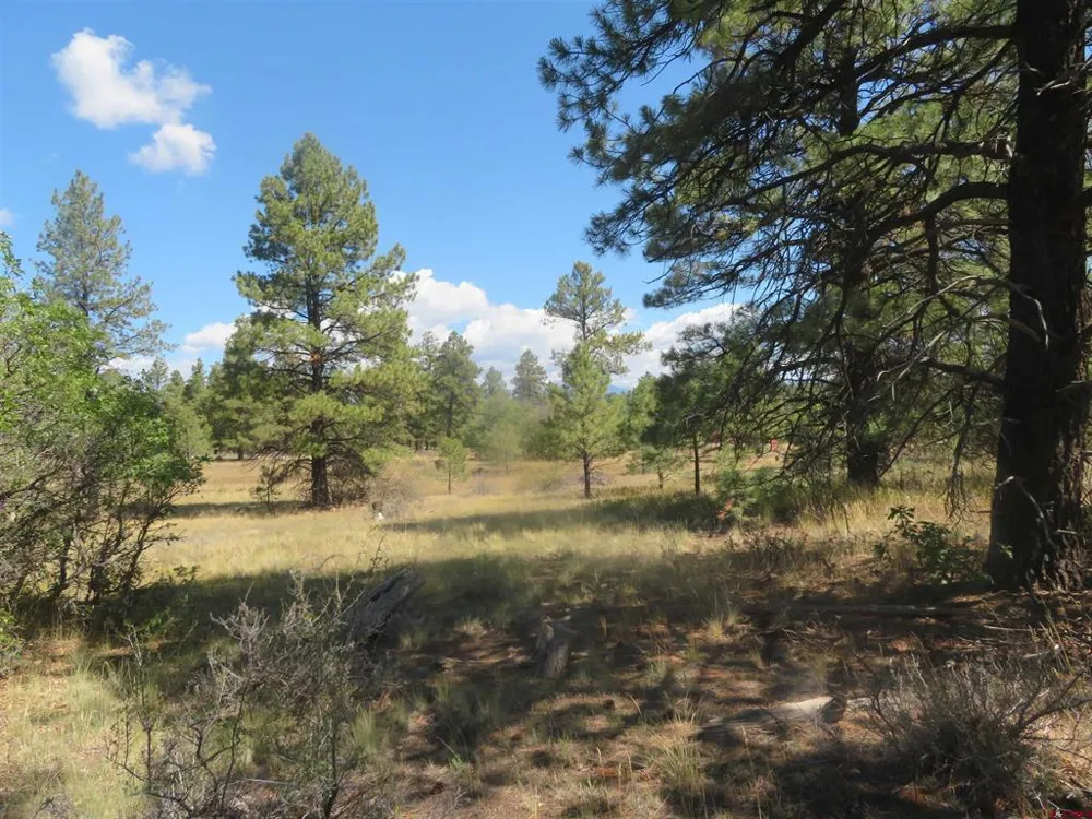 100 Pinescent Court Pagosa Springs, CO 81147