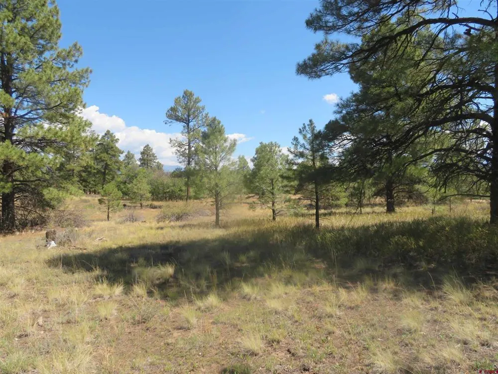 100 Pinescent Court Pagosa Springs, CO 81147
