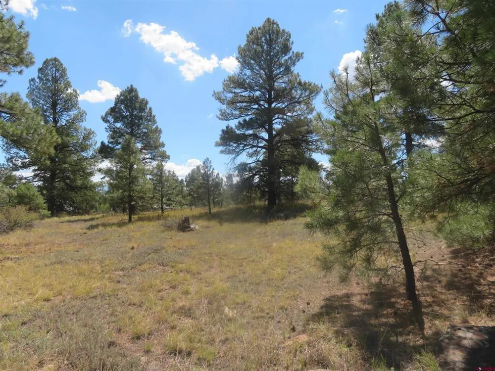 100 Pinescent Court Pagosa Springs, CO 81147