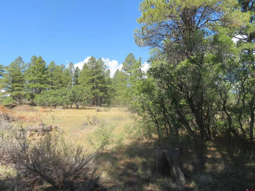 100 Pinescent Court Pagosa Springs, CO 81147