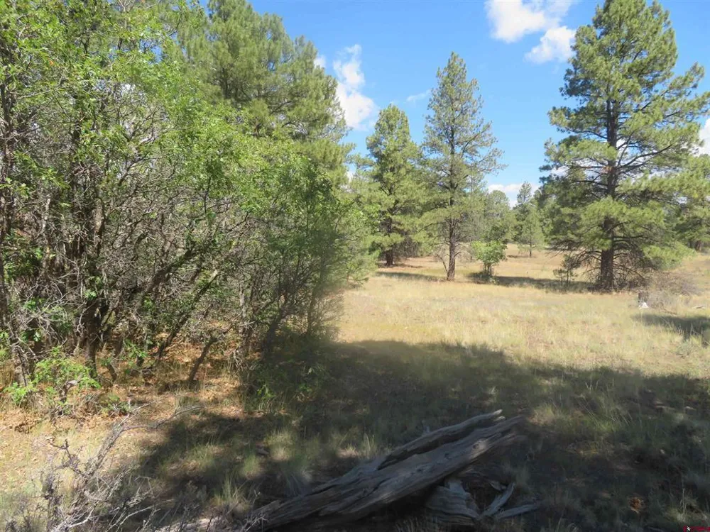 100 Pinescent Court Pagosa Springs, CO 81147