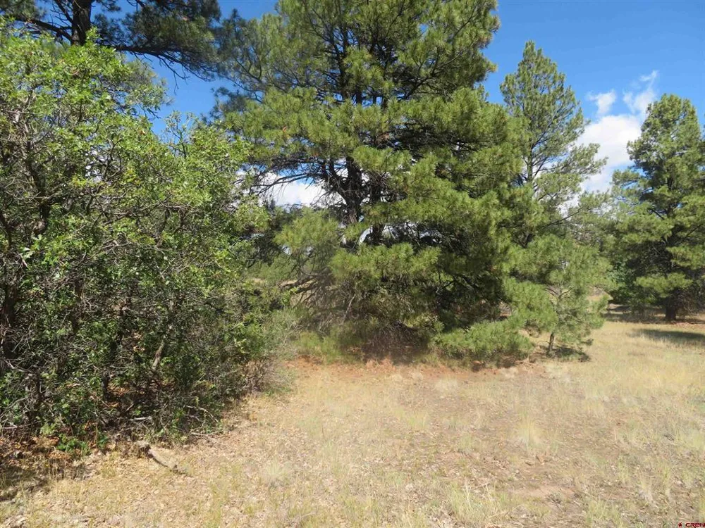 100 Pinescent Court Pagosa Springs, CO 81147