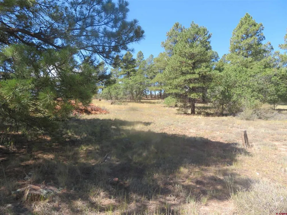 100 Pinescent Court Pagosa Springs, CO 81147