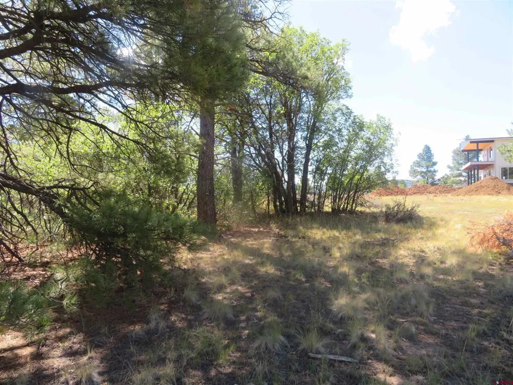 100 Pinescent Court Pagosa Springs, CO 81147