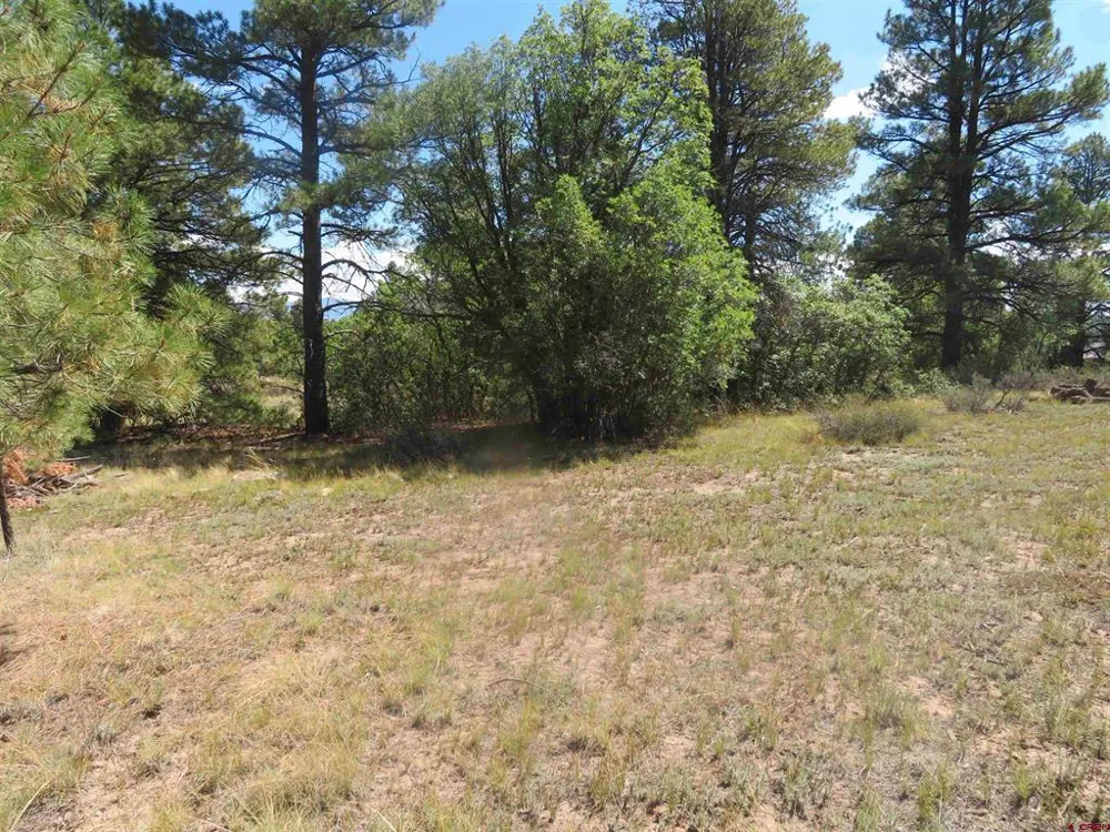 100 Pinescent Court Pagosa Springs, CO 81147