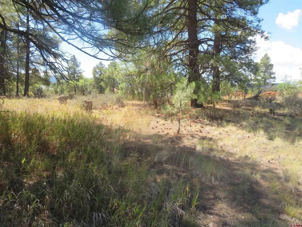 100 Pinescent Court Pagosa Springs, CO 81147