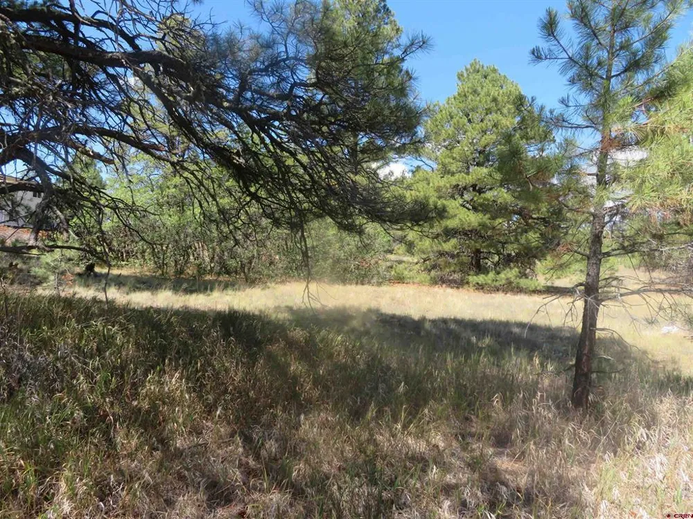 100 Pinescent Court Pagosa Springs, CO 81147