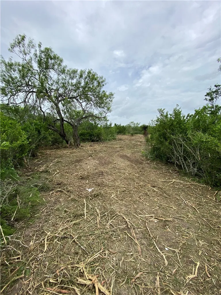 CR 323 Orange Grove, TX 78372