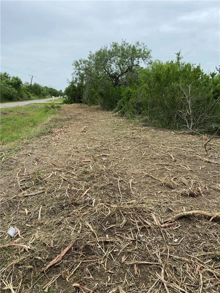 CR 323 Orange Grove, TX 78372