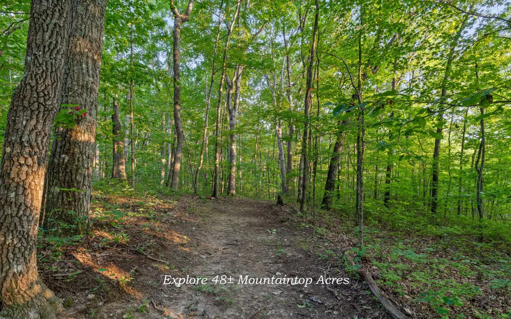 783 Leather Gap Road Dunlap, TN 37327