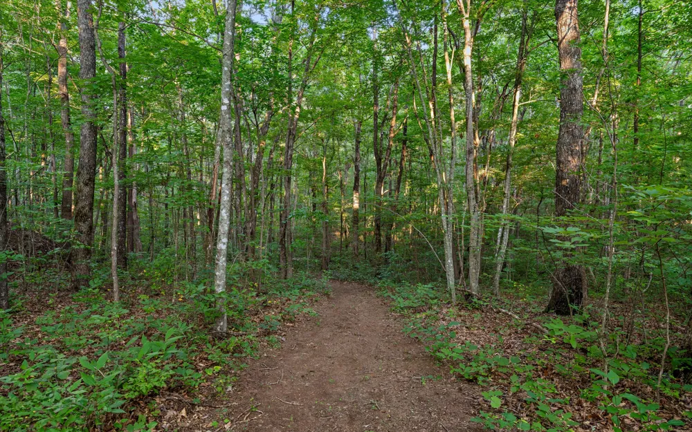 783 Leather Gap Road Dunlap, TN 37327