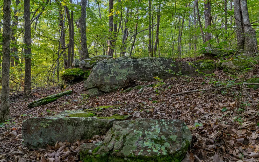 783 Leather Gap Road Dunlap, TN 37327