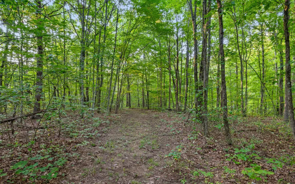 783 Leather Gap Road Dunlap, TN 37327