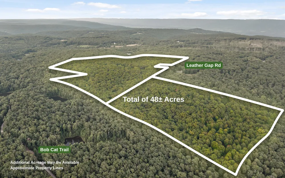 783 Leather Gap Road Dunlap, TN 37327