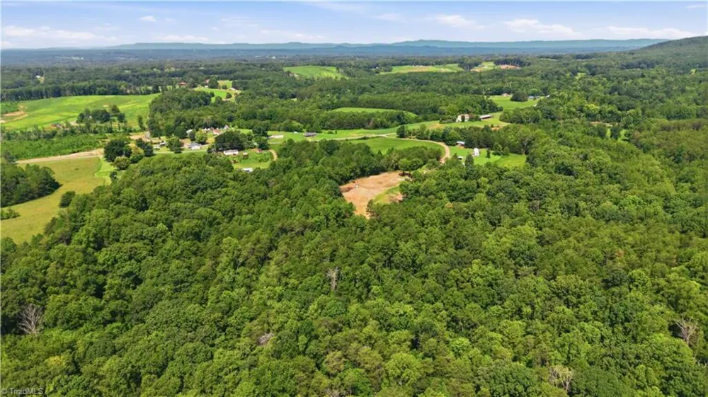180 Great View Lane Pinnacle, NC 27043