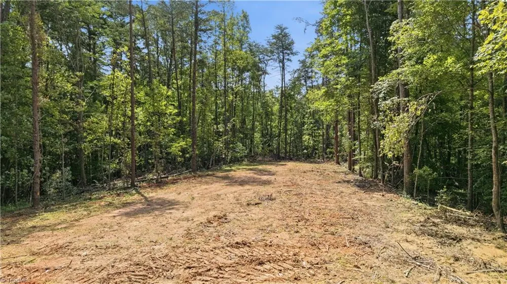 180 Great View Lane Pinnacle, NC 27043