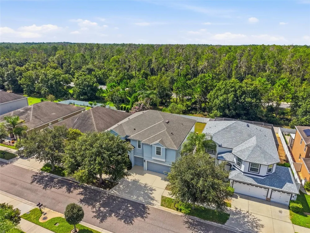 12125 STREAMBED DRIVE Riverview, FL 33579