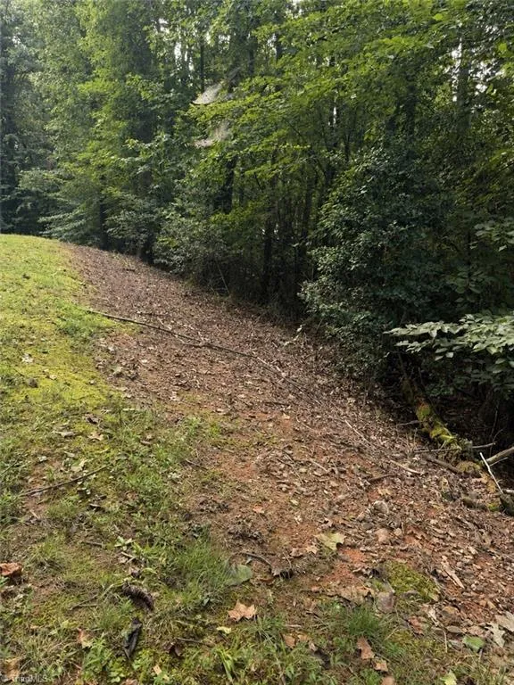 NA Poplar Drive North Wilkesboro, NC 28659
