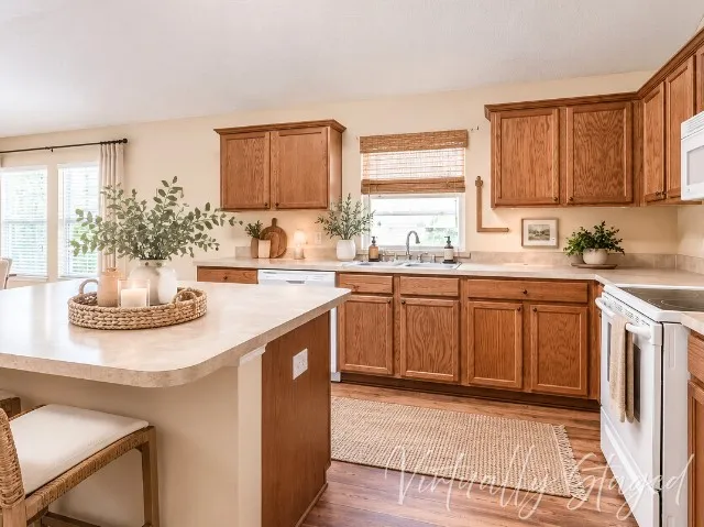 413 Tallowtree Drive Fate, TX 75087