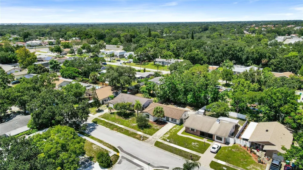 2264 WINCHESTER DRIVE Dunedin, FL 34698