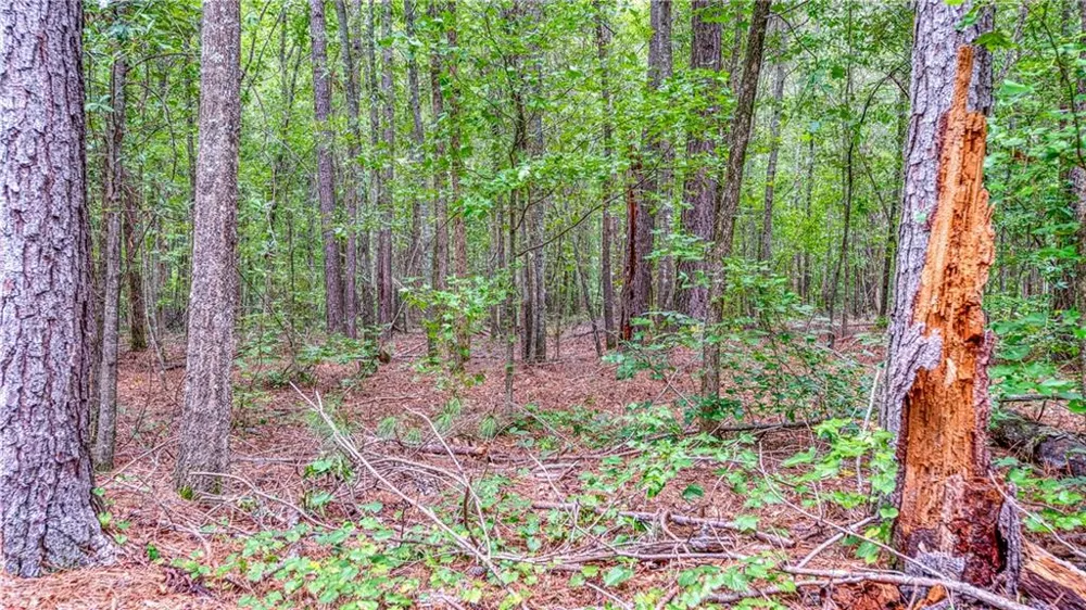 130 Levi Trail Nicholson, GA 30565