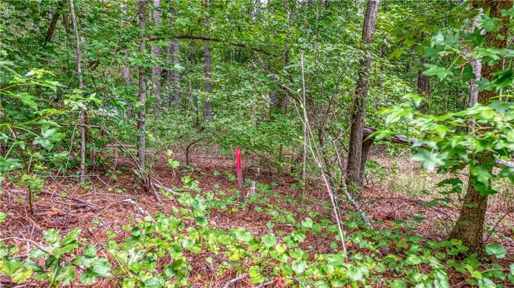 130 Levi Trail Nicholson, GA 30565
