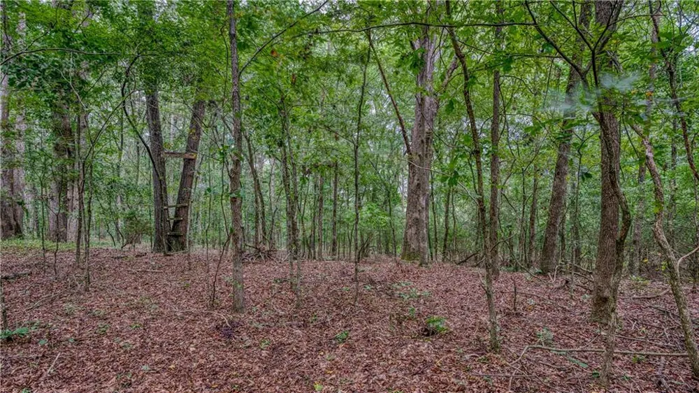 130 Levi Trail Nicholson, GA 30565