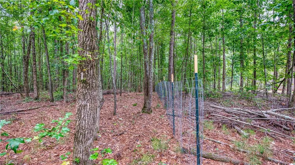 130 Levi Trail Nicholson, GA 30565