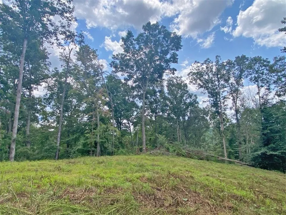 3.3ac Trillium Trail Dahlonega, GA 30533