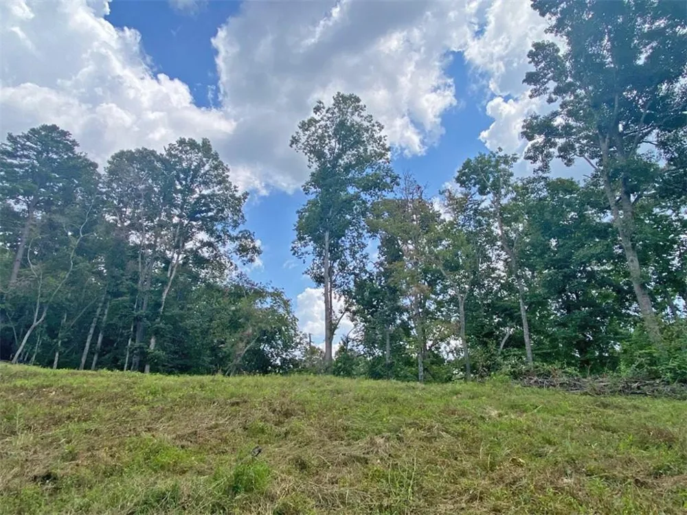 3.3ac Trillium Trail Dahlonega, GA 30533