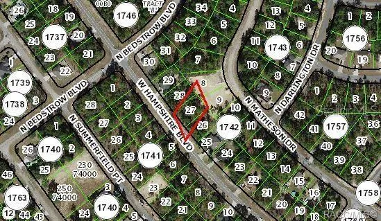1195 W HAMPSHIRE BOULEVARD Citrus Springs, FL 34434