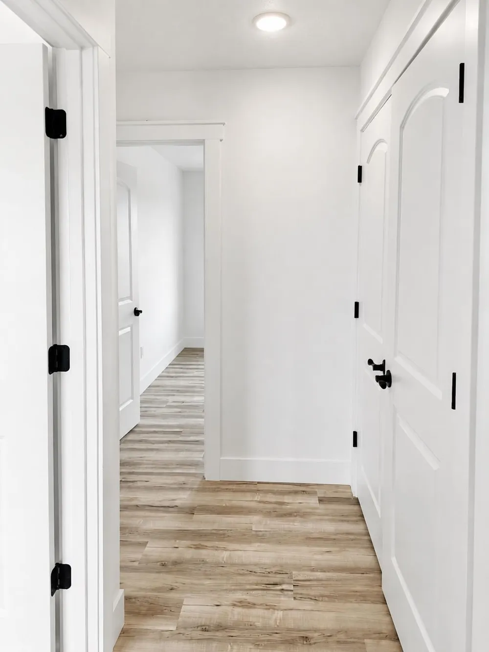 262 Viola Lane Blair Township, MI 49685