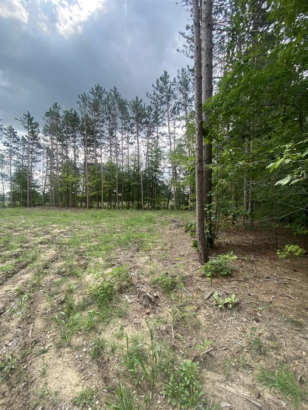 413 Maplebrooke Lane Haring Charter Township, MI 49601