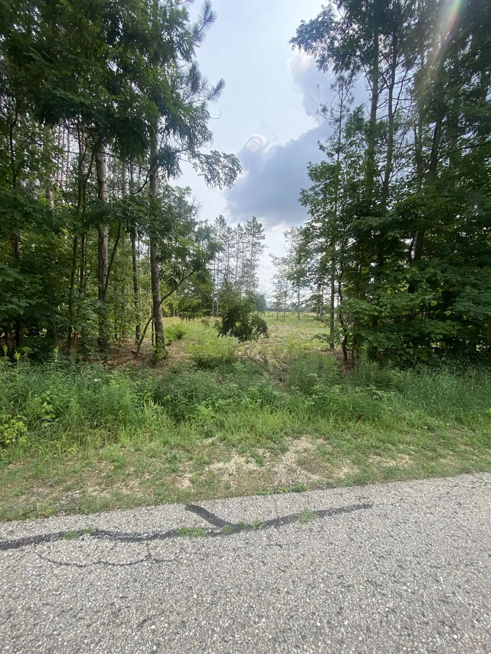 413 Maplebrooke Lane Haring Charter Township, MI 49601