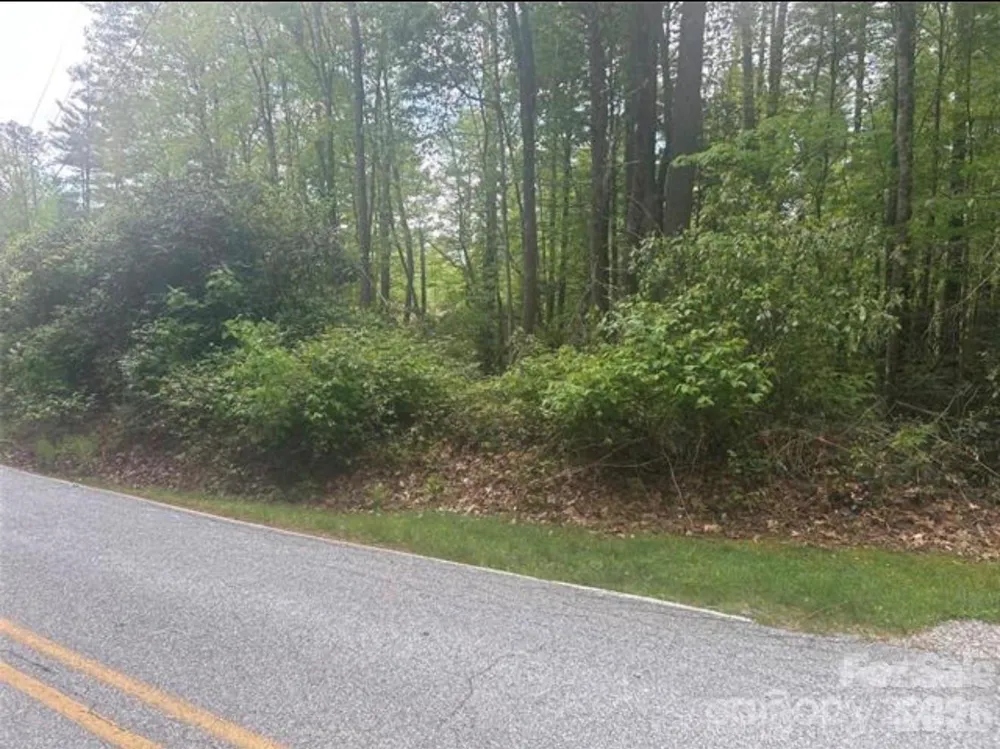 TBD Upper Whitewater Road Brevard, NC 28712