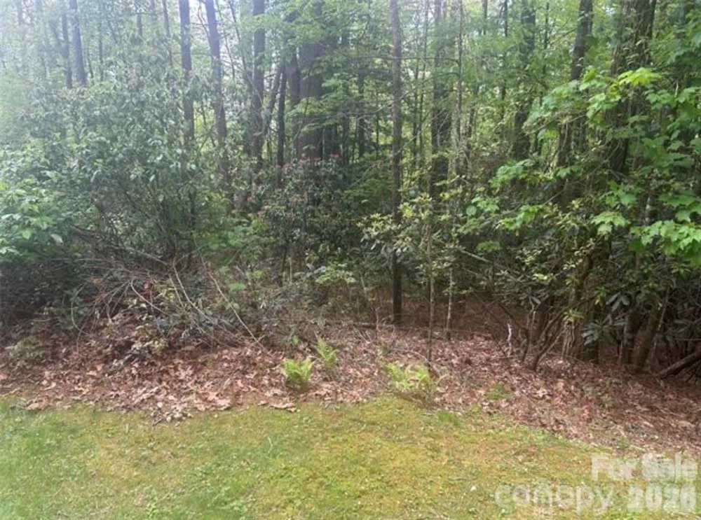TBD Upper Whitewater Road Brevard, NC 28712