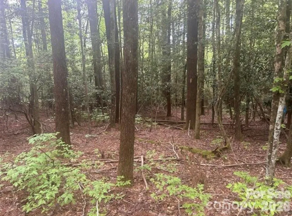 TBD Upper Whitewater Road Brevard, NC 28712