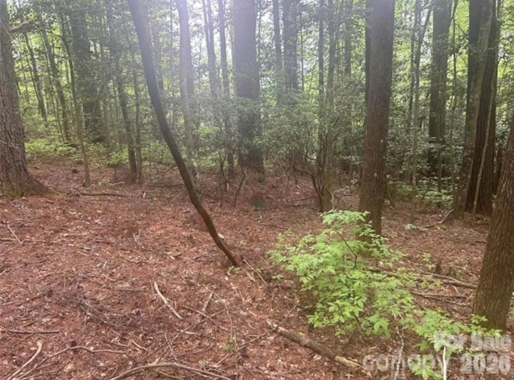 TBD Upper Whitewater Road Brevard, NC 28712