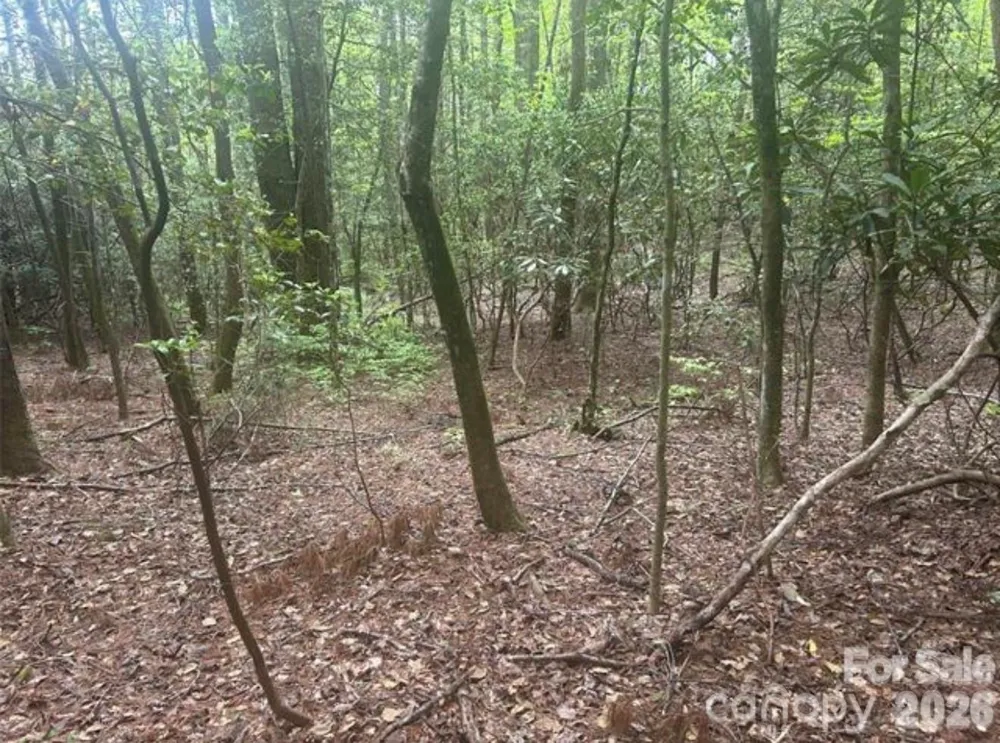 TBD Upper Whitewater Road Brevard, NC 28712