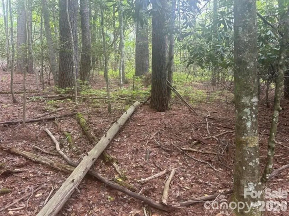 TBD Upper Whitewater Road Brevard, NC 28712