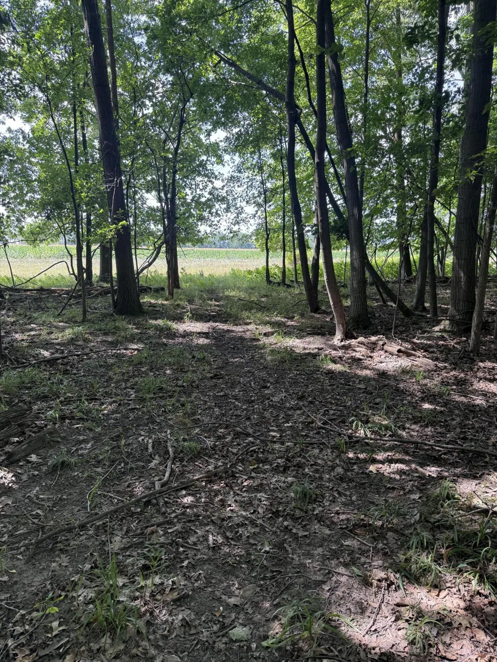 8670 Baldwin Road Henderson, MI 48841