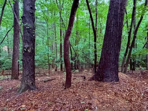 00 Woodland Drive