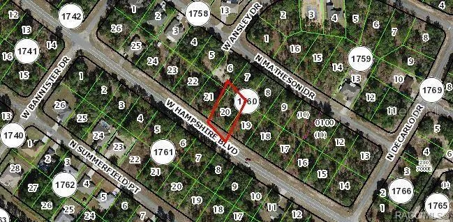 955 W HAMPSHIRE BOULEVARD Citrus Springs, FL 34434