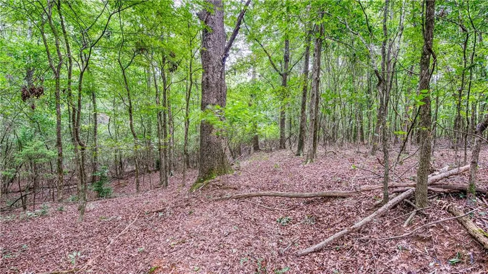 140 Levi Trail Nicholson, GA 30565